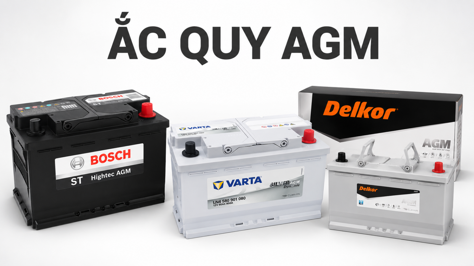 Một số mẫu bình ắc quy AGM 