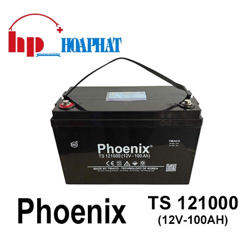 Ắc Quy Phoenix TS121000 (12V-100Ah)