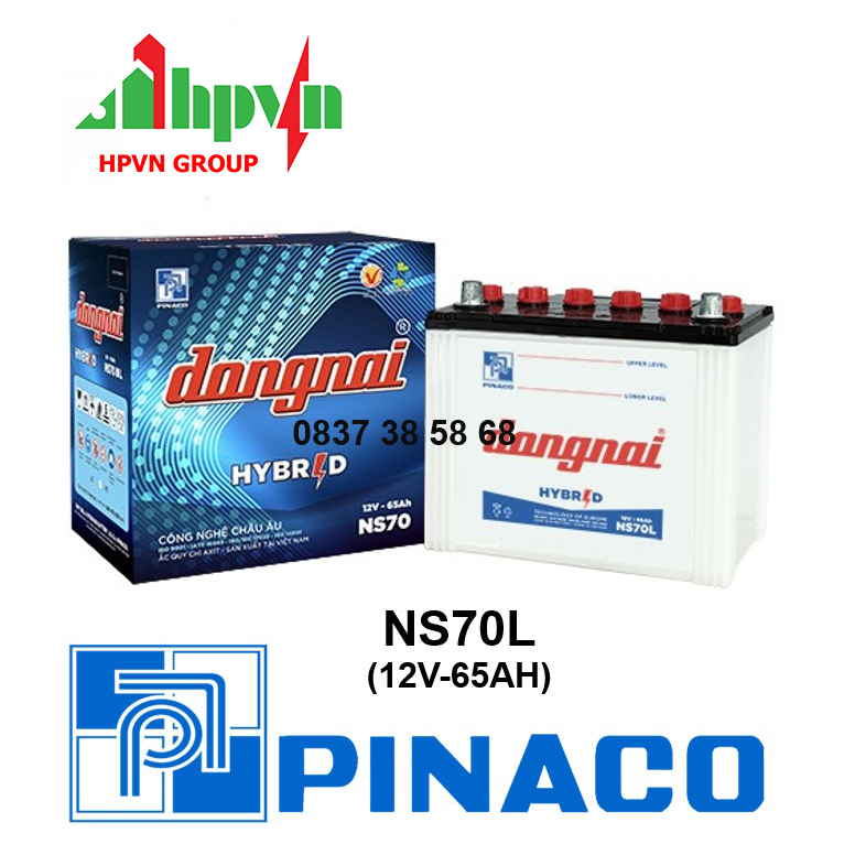 BÌNH ẮC QUY ĐỒNG NAI NS70L (12V-65AH)