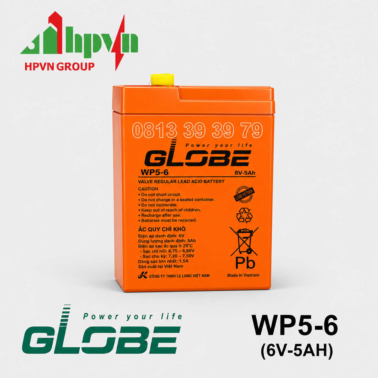 Ắc Quy Globe WP5-6 (6V-5Ah)